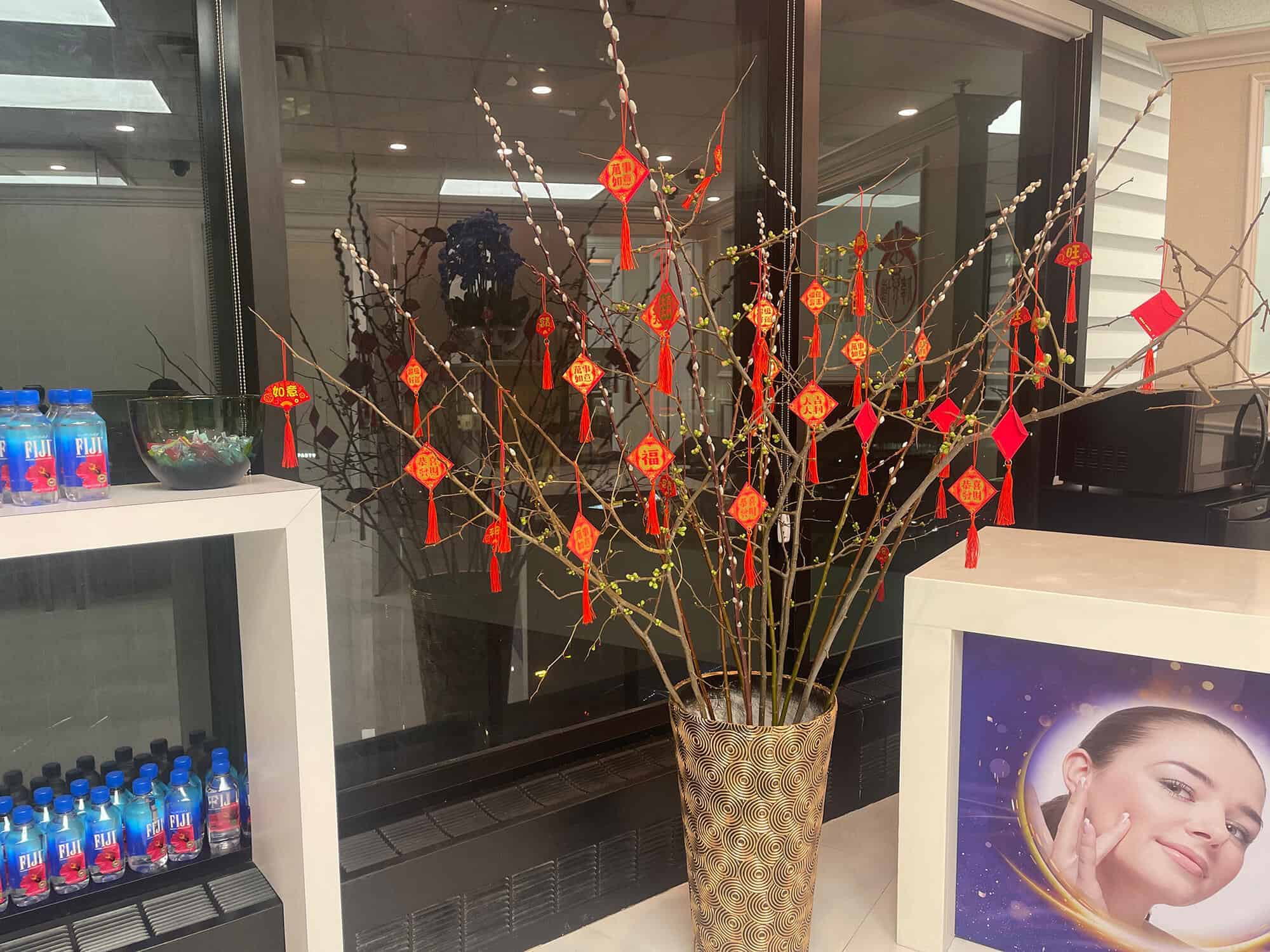 medspa reception 2